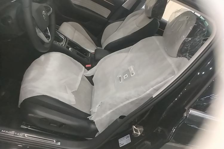 Used Volkswagen Magotan 2026 30 Million Vehicles Selected Model 380TSI DSG Luxury Edition Left Front Seat