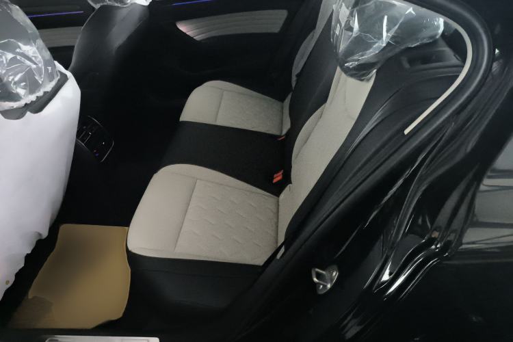 Used Volkswagen Magotan 2026 30 Million Vehicles Selected Model 380TSI DSG Luxury Edition Left Rear Seat