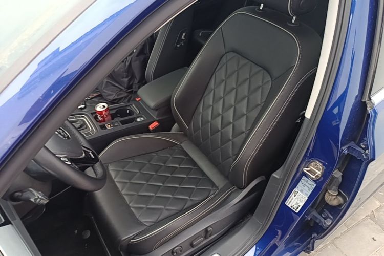 Used Volkswagen Magotan GTE Plug-in Hybrid 2020 GTE Luxury Model Left Front Seat