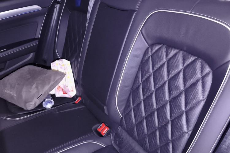 Used Volkswagen Magotan GTE Plug-in Hybrid 2020 GTE Luxury Model Left Rear Seat