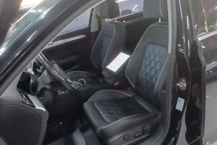 Used Volkswagen Magotan GTE Plug-in Hybrid 2022 GTE Luxury Model Left Front Seat