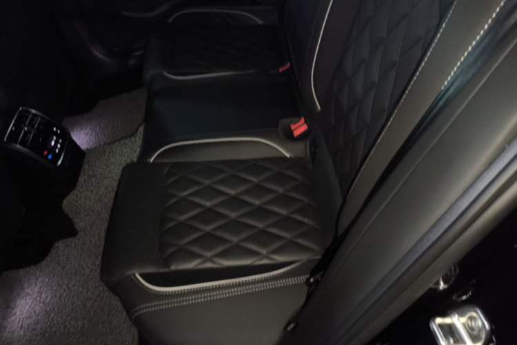 Used Volkswagen Magotan GTE Plug-in Hybrid 2022 GTE Luxury Model Left Rear Seat