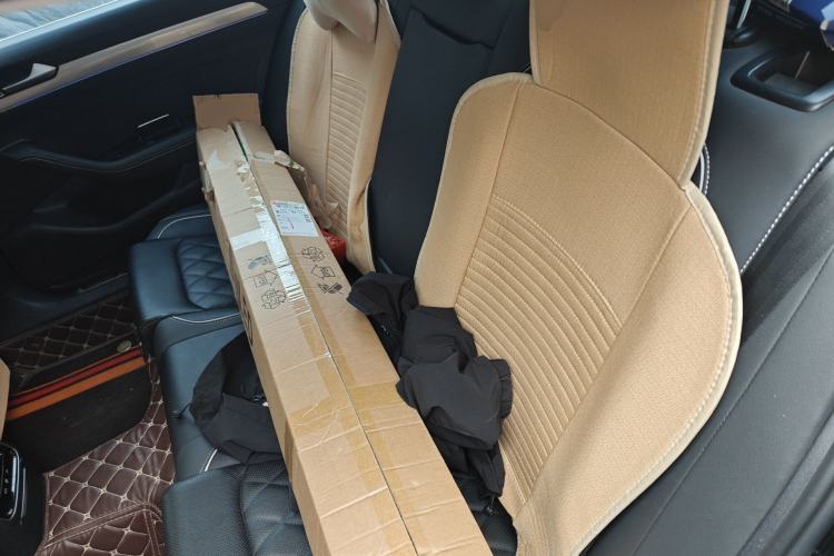 Used Volkswagen Magotan GTE Plug-in Hybrid 2022 GTE Luxury Model Left Rear Seat
