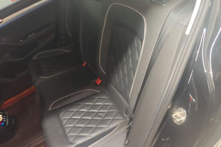 Used Volkswagen Magotan GTE Plug-in Hybrid 2022 GTE Luxury Model Left Rear Seat