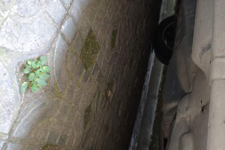 Used Volkswagen Multivan  Chassis Front Left
