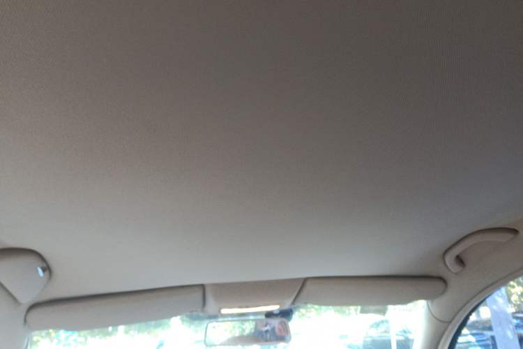 Used Volkswagen Passat 2007 2.0L Manual Standard Edition Headliner