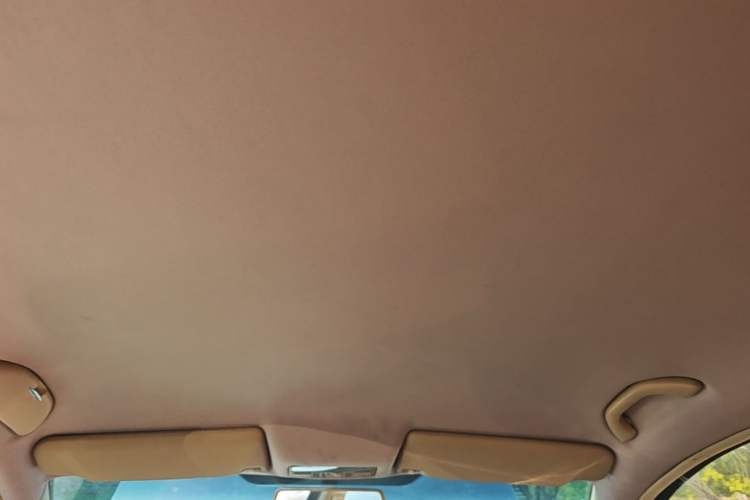 Used Volkswagen Passat 2007 2.0L Automatic Standard Edition Headliner