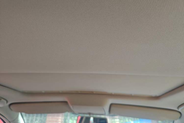 Used Volkswagen Passat 2009 1.8T Automatic Prestige Model Headliner