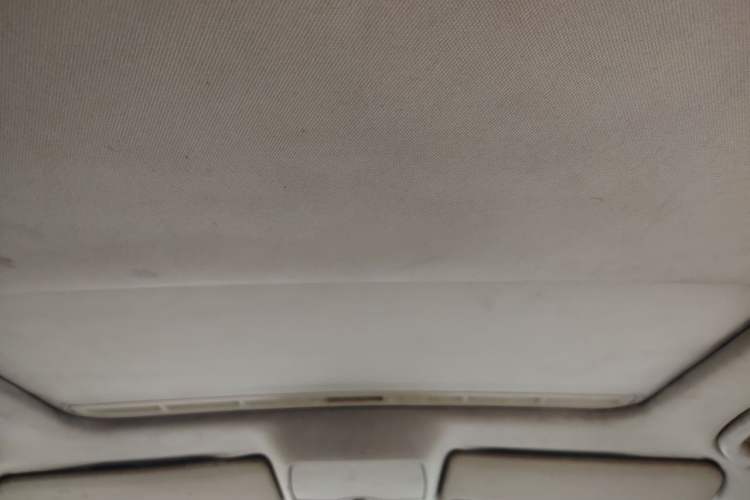 Used Volkswagen Passat 2009 2.0L MFI Manual Luxury Edition Headliner