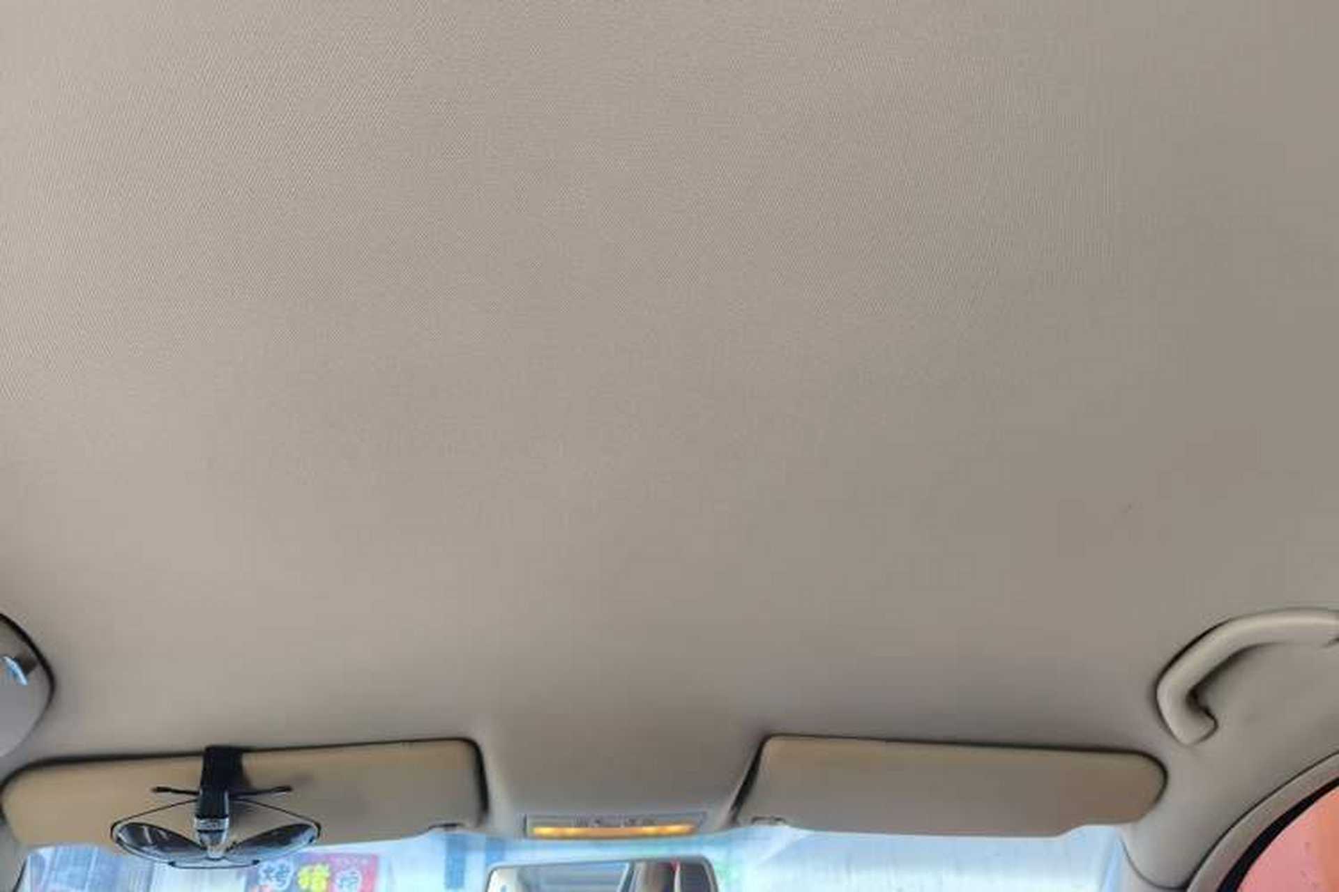 Used Volkswagen Passat 2009 1.8T Manual Luxury Model Headliner