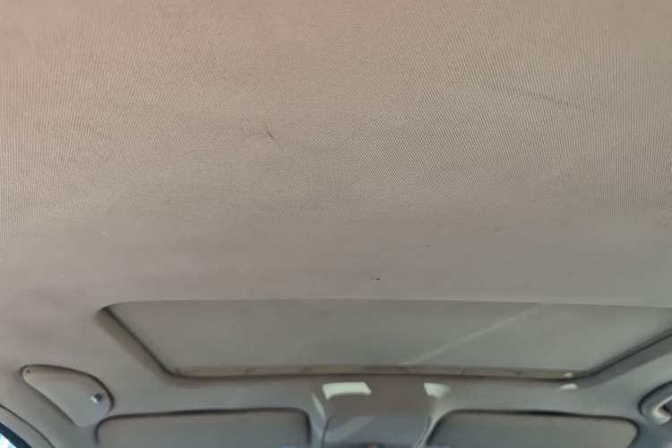 Used Volkswagen Passat 2009 1.8T Manual Luxury Edition Headliner