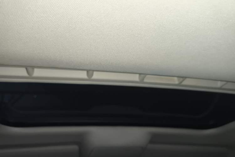 Used Volkswagen Passat 2009 1.8T Manual Luxury Model Headliner