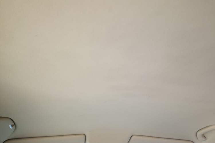 Used Volkswagen Passat 2009 2.0L MFI Manual Luxury Edition Headliner