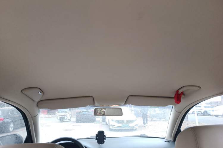 Used Volkswagen Passat 2009 2.0L MFI Automatic Luxury Edition Headliner