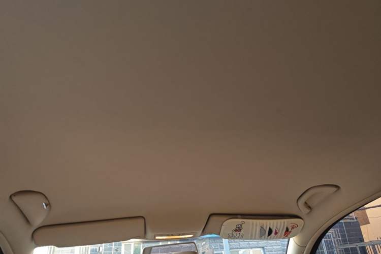 Used Volkswagen Passat 2009 1.8T Manual Luxury Model Headliner