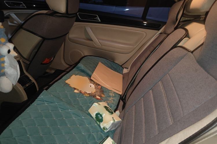 Used Volkswagen Passat 2009 2.0L MFI Manual Luxury Edition Left Rear Seat