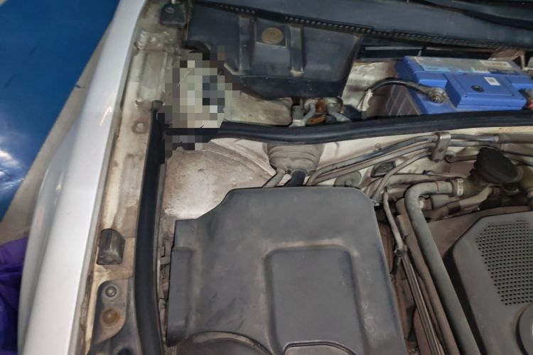 Used Volkswagen Passat 2009 1.8T Automatic Prestige Model Engine Bay Right