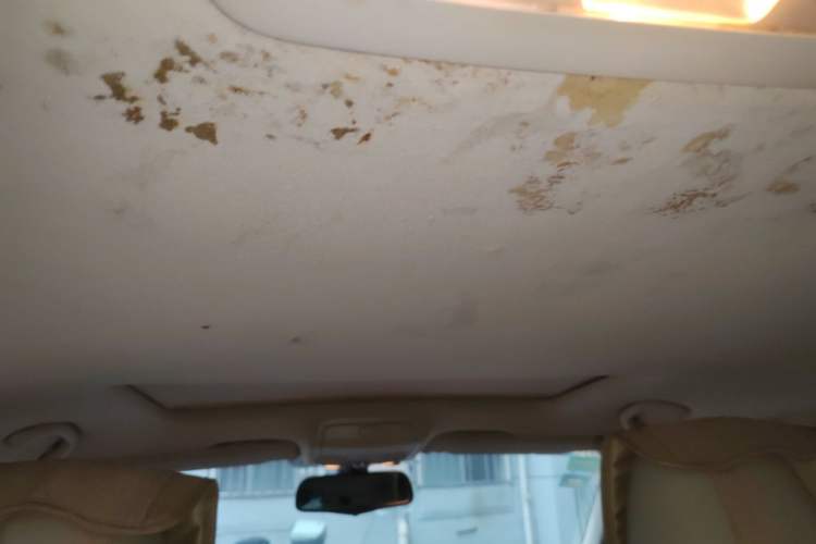 Used Volkswagen Passat 2011 1.8 TSI DSG Ultimate Edition Headliner