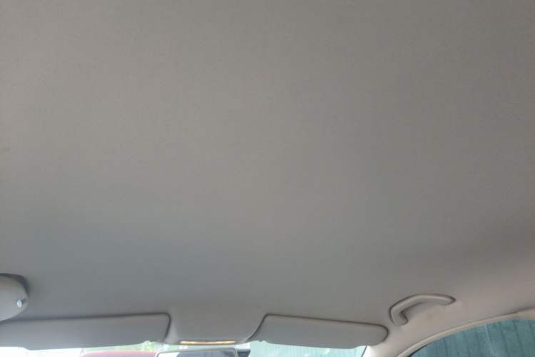 Used Volkswagen Passat 2011 1.8T Automatic Luxury Model Headliner