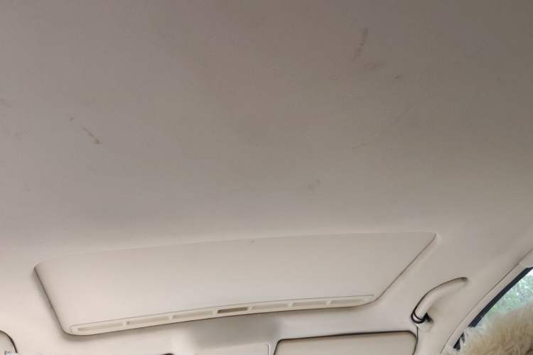 Used Volkswagen Passat 2011 1.8T Automatic Luxury Model Headliner