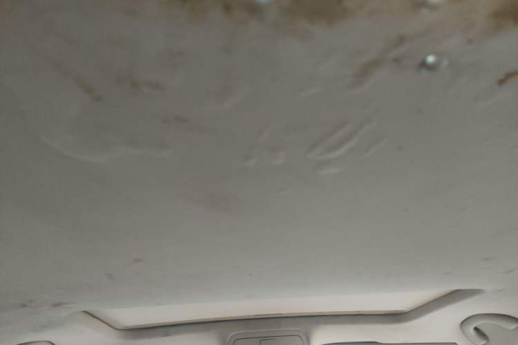 Used Volkswagen Passat 2011 2.0 TSI DSG Ultimate Edition Headliner