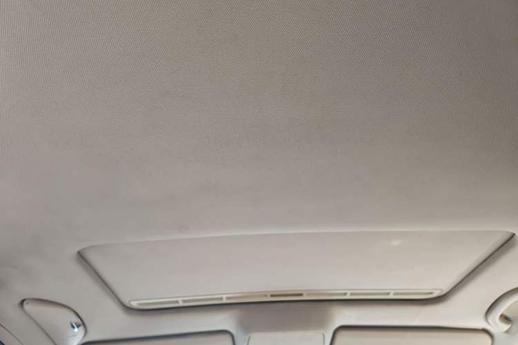 Used Volkswagen Passat  Headliner