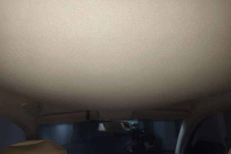Used Volkswagen Passat 2011 1.8T Automatic Luxury Model Headliner