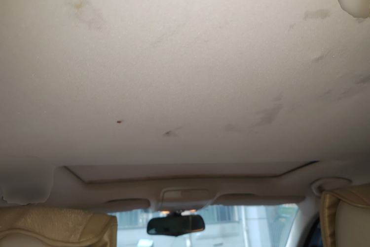 Used Volkswagen Passat 2011 1.8 TSI DSG Ultimate Edition Left Rear Seat