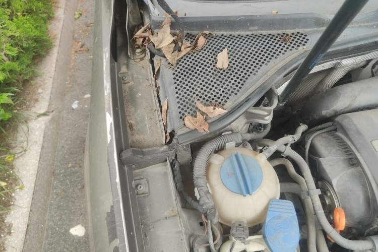 Used Volkswagen Passat 2011 1.8 TSI DSG Ultimate Edition Engine Bay Right