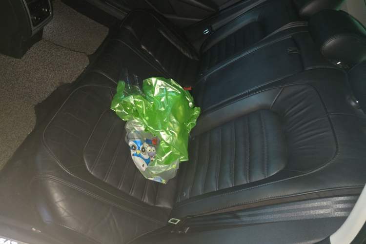 Used Volkswagen Passat 2014 1.8TSI DSG Prestige Edition Left Rear Seat