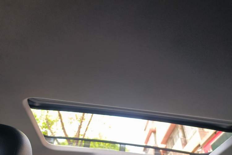 Used Volkswagen Passat 2016 330TSI DSG Luxury Edition Headliner