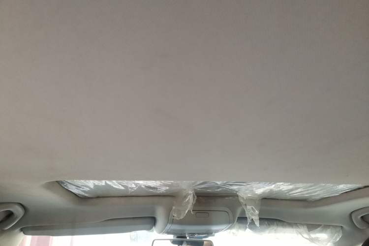 Used Volkswagen Passat 2016 330TSI DSG Luxury Edition Headliner