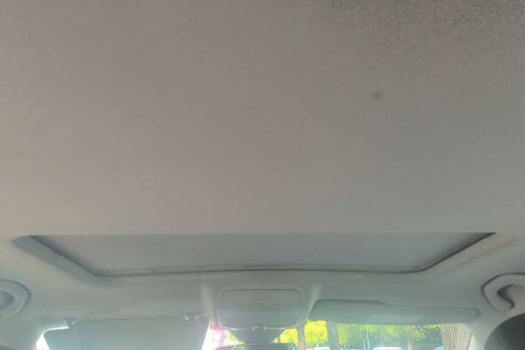 Used Volkswagen Passat 2016 380TSI DSG Ultimate Edition Headliner