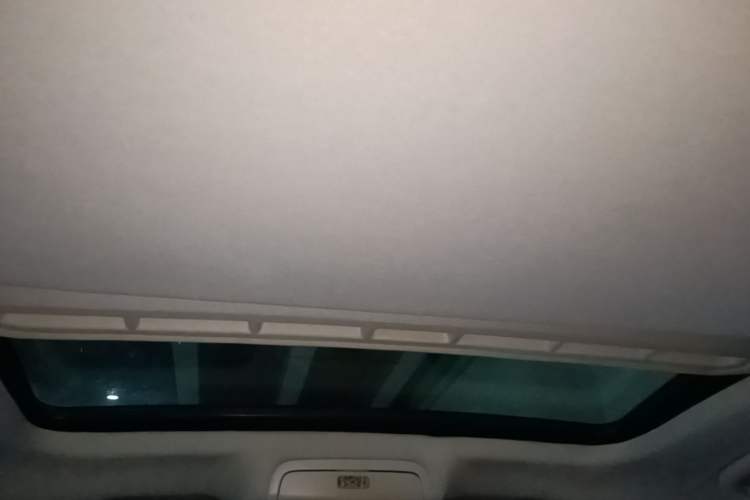 Used Volkswagen Passat  Headliner