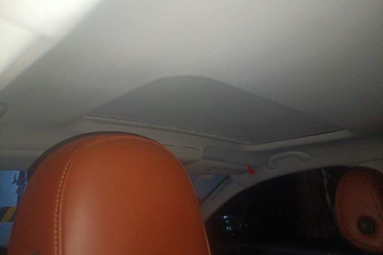 Used Volkswagen Passat 2016 330TSI DSG Luxury Edition Headliner