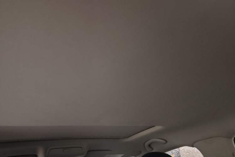 Used Volkswagen Passat 2016 330TSI DSG Luxury Edition Headliner