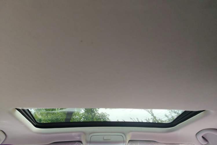 Used Volkswagen Passat 2017 330TSI DSG Luxury Edition Headliner