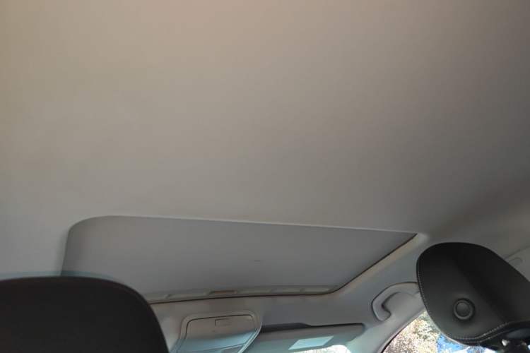 Used Volkswagen Passat 2017 330TSI DSG Luxury Edition Headliner
