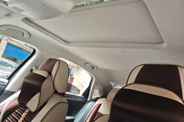 Used Volkswagen Passat  Headliner