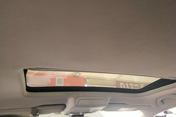 Used Volkswagen Passat 2017 330TSI DSG Luxury Edition Headliner
