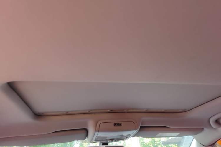 Used Volkswagen Passat 2017 330TSI DSG Luxury Edition Headliner