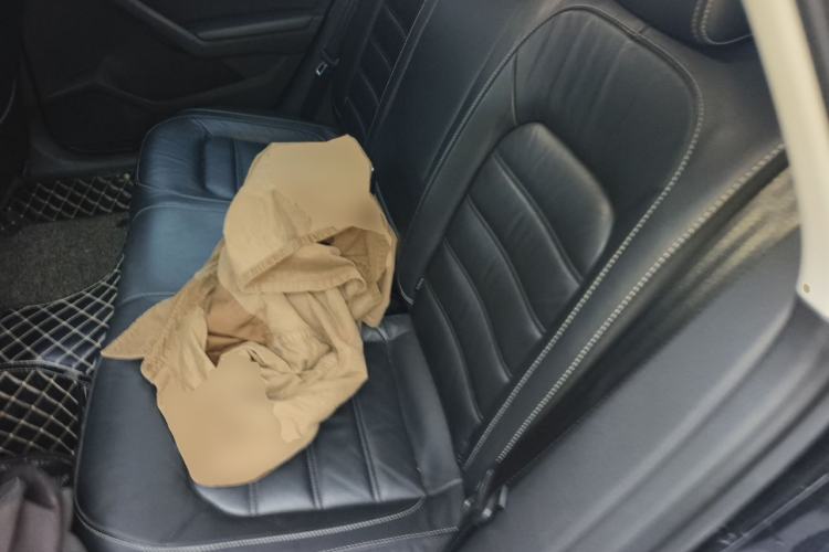 Used Volkswagen Passat 2017 330TSI DSG Luxury Edition Left Rear Seat