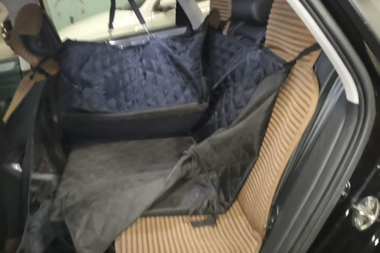 Used Volkswagen Passat 2017 280TSI DSG Luxury Edition Left Rear Seat