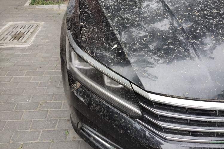 Used Volkswagen Passat 2017 330TSI DSG Luxury Edition Right Front Headlight
