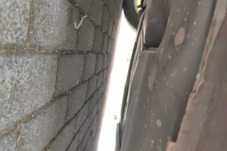 Used Volkswagen Passat 2019 280TSI Business Edition China V Standard Chassis Rear Right