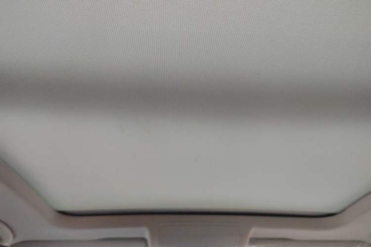 Used Volkswagen Passat 2019 330TSI Elite Edition China VI Headliner