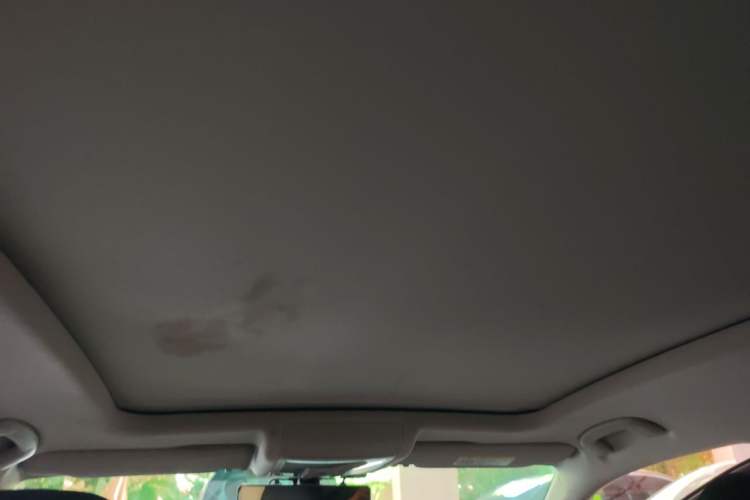 Used Volkswagen Passat 2019 330TSI Elite Edition China VI Headliner