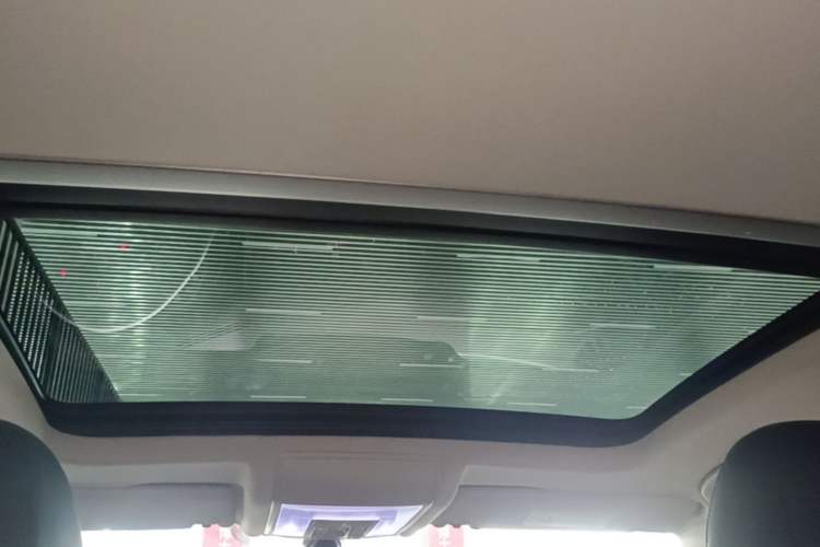 Used Volkswagen Passat 2019 330TSI Elite Edition China V Standard Headliner