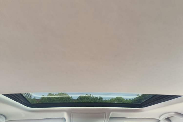 Used Volkswagen Passat 2019 280TSI Business Edition China VI Headliner