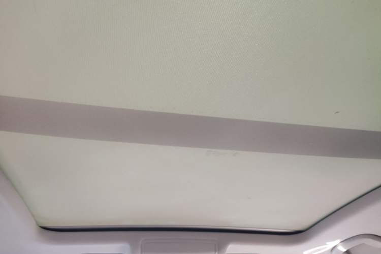Used Volkswagen Passat 2019 330TSI Luxury Edition China V Standard Headliner